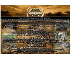 True African Safaris