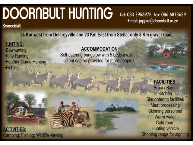 Doornbult Hunting