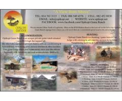 Opikopi Game Ranch