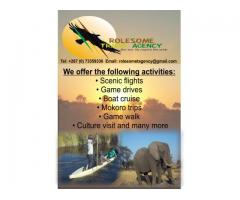 Rolesome Travel Agency