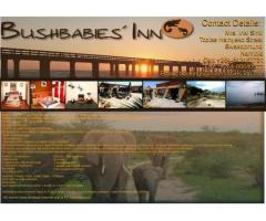 Bushbabies Inn