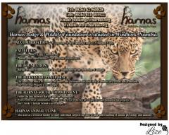 Harnas Lodge & Wildlife Foundation