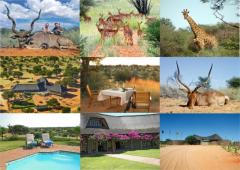 Kalahari Rangers Lodge