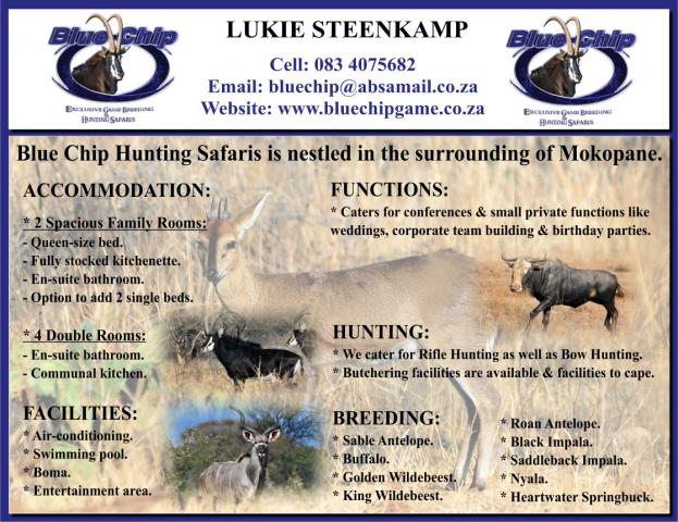 Blue Chip Hunting Safaris