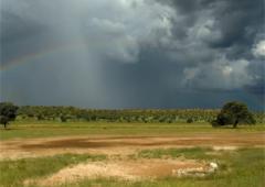Kalahari Farmstall & Accommodation