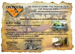 Okondura Hunting & Guestfarm