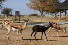 Kalahari Monate Lodge