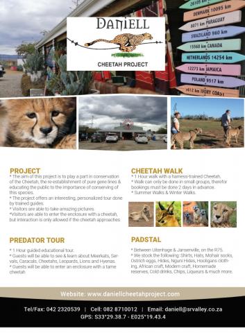 Daniell Cheetah Project
