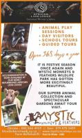 African Lion Lodge