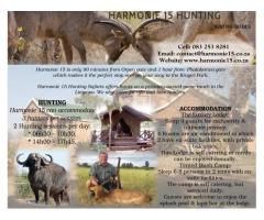 Harmonie 15 Hunting