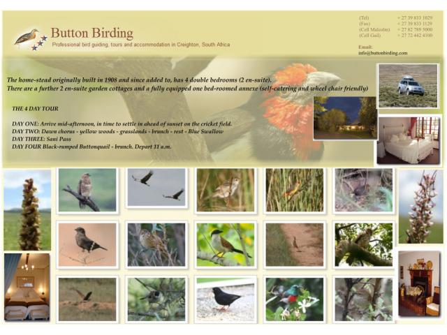 Button Birding