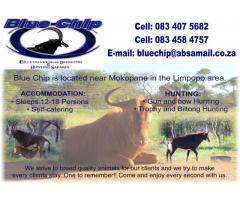 Blue Chip Hunting Safaris