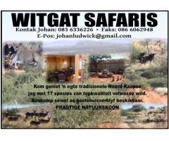 Witgat Safaris