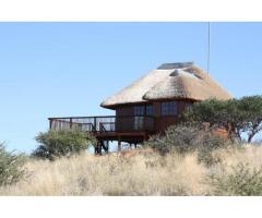 Witgat Safaris