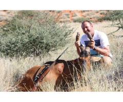 Witgat Safaris