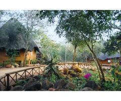 Royale Marlothi Safari Lodge