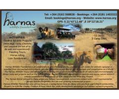 Harnas Lodge and Wildlife Foundation