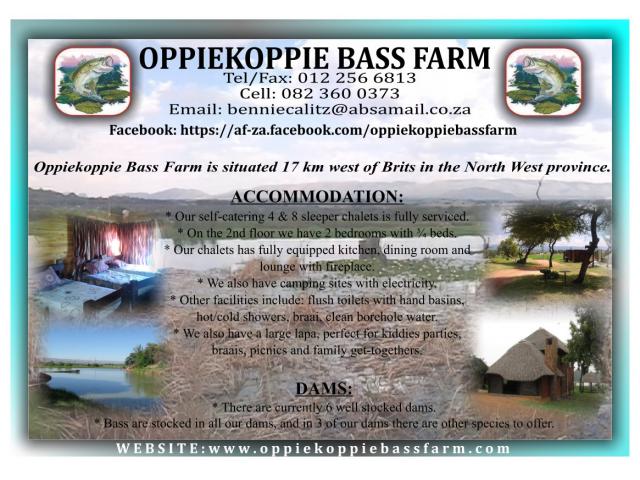 Oppiekoppie Bass Farm