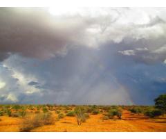 Kalahari Rangers