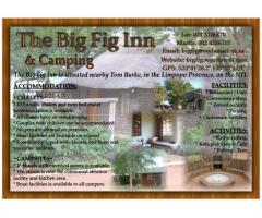 The Big Fig Inn & Camping