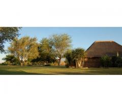 The Big Fig Inn & Camping