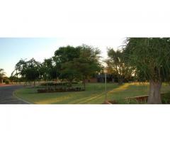 The Big Fig Inn & Camping