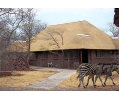Phumula Kruger Lodge + Safari's