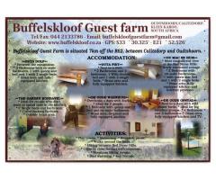 Buffelskloof Guestfarm