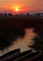 Mapula Lodge Safaris