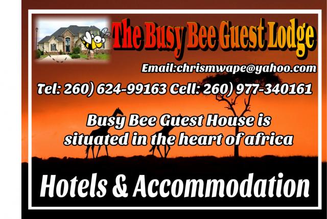 The Busy Bee Guest Lodge