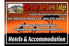 The Busy Bee Guest Lodge