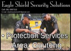 Eagle Shield Security Solutions