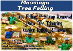 Massinga Tree Felling