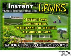 Instant Lawns