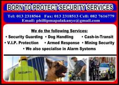 Born to Protect Security Services