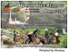 Group Tree Felling Projects