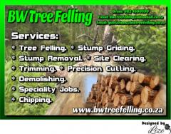 BW Tree Felling