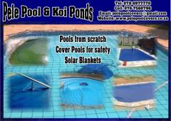 Pele Pool & Koi Ponds