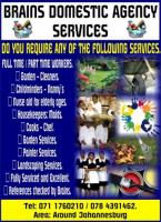 Brains Domestic Agency Services