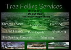 Tree Felling Services
