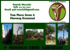 P Wernich Tree  Surgeon