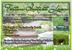Fortune Instant Lawn
