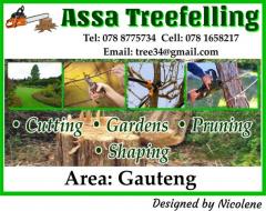 Assa Treefelling