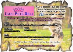 Ifafi Pets Deli
