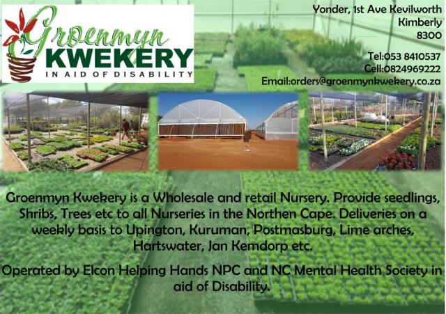 Groenmyn Kwekery