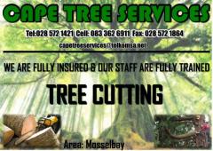 Cape Tree Services