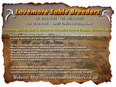 Lovemore Sable Breeders