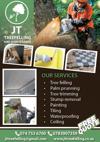 JT Tree felling and Maintenance JT Tree felling and Maintenance