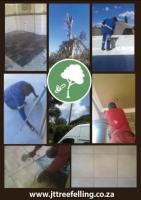 JT Tree felling and Maintenance JT Tree felling and Maintenance