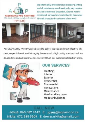 Assurance Pro Painting